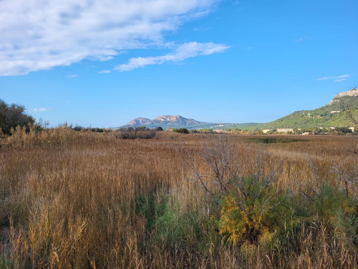 Apartamento Estartit Argonavis L'Estartit Luaran gambar